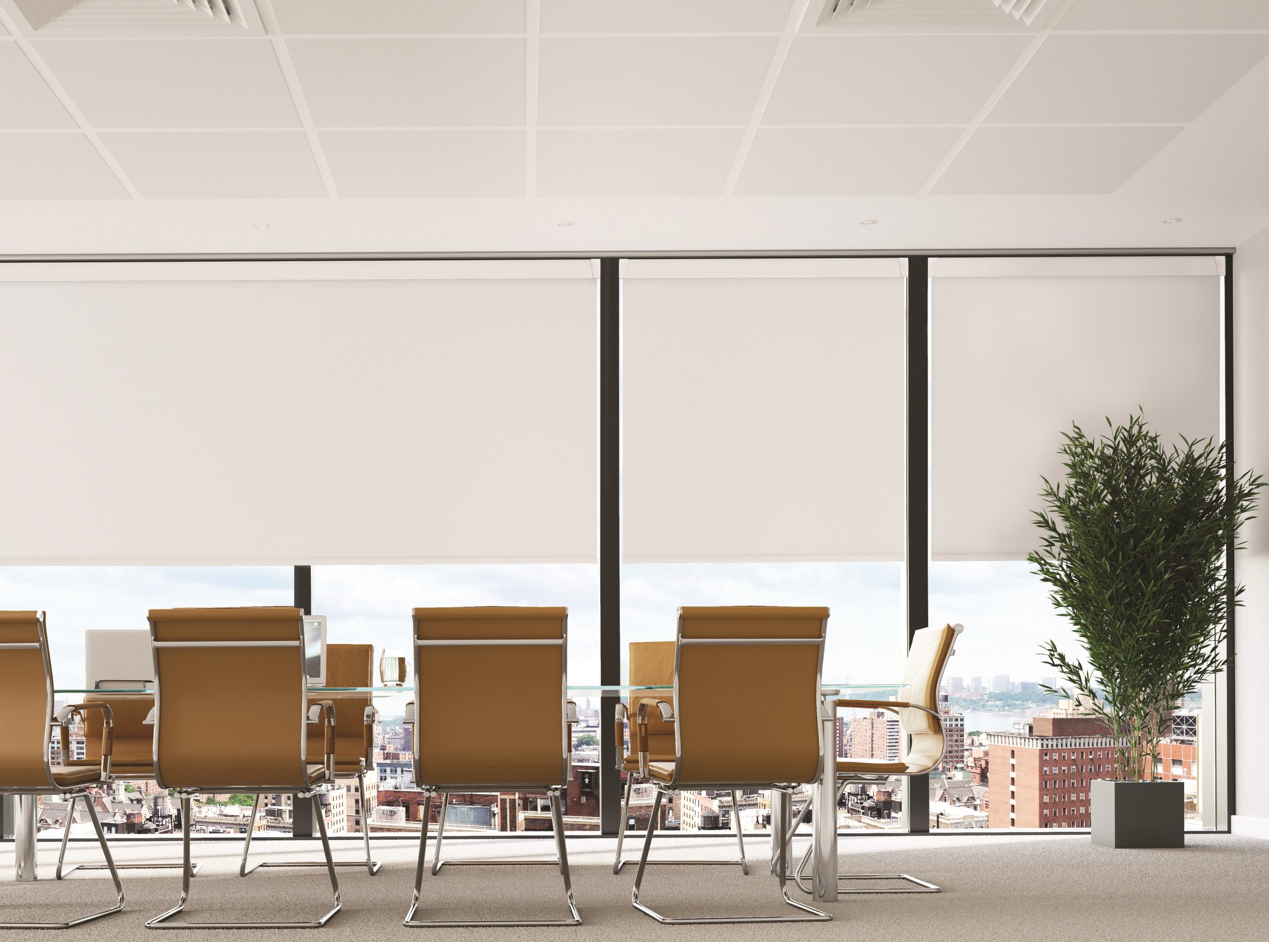 Office blinds and shading